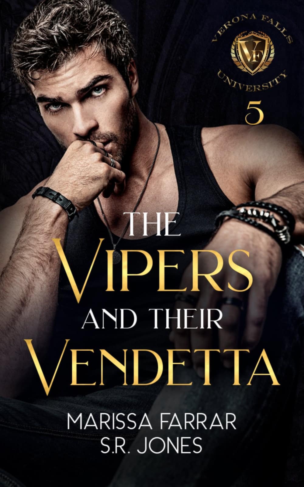 5 Star Book Review – The Vipers and Their Vendetta: A Dark College Bully Romance by Marissa Farrar, S.R. Jones