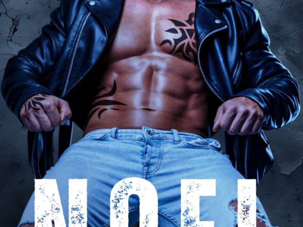 5 Star Book Review: Noel (Sigma International Security Book 1)by C.D.&nbsp;Gorri